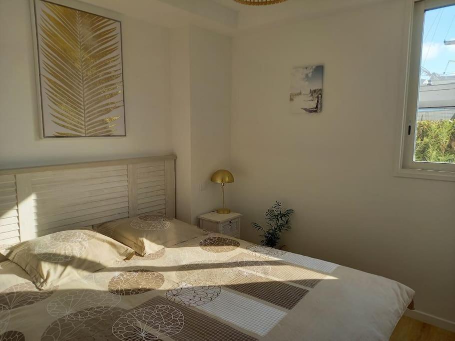 Appartement 100 M2 Terrasse Piscine Gruissan Esterno foto